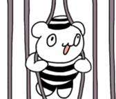 75656926