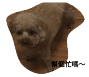 75683772