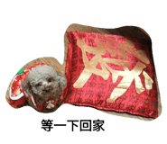 75683778
