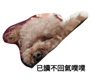 75683779