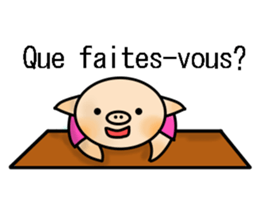 7569251