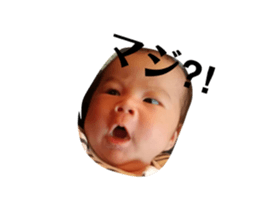 75759730