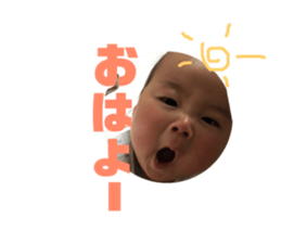 75759733