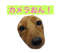 75764771