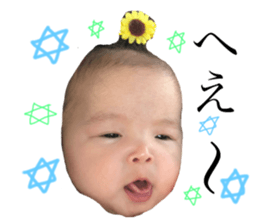 75807608
