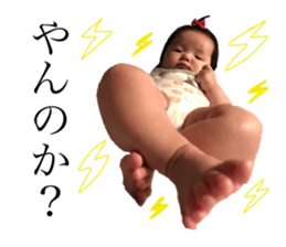 75807609