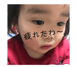 75812734