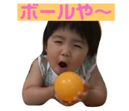 75813046