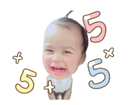75852779