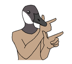 7591252