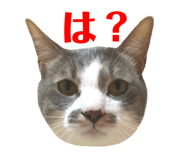 75921561