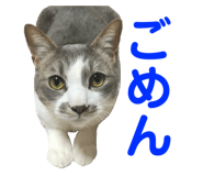 75921565