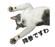 75921567