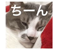 75921569