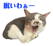 75921571