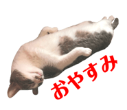 75921572