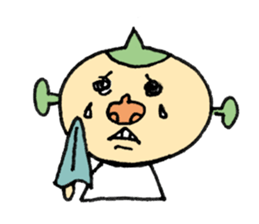 7593127