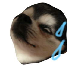 75999952