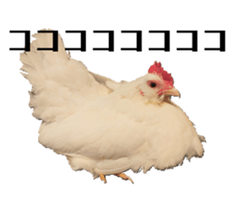 760001303