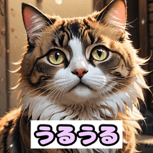 760037558