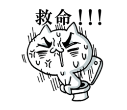 7600563