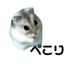 760058513