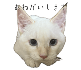 760078918