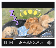 760097710