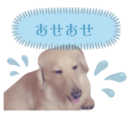 760115528