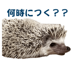 760116083