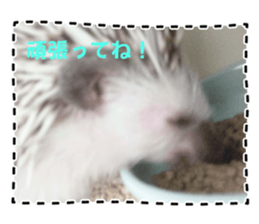 760116084
