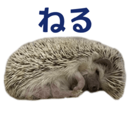 760116087
