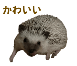 760116089