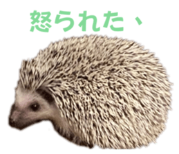 760116100