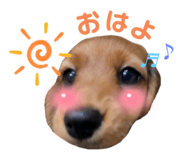 760139977
