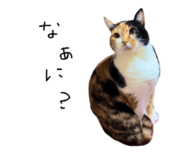 760144837