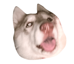 760153000