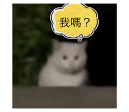 760154403