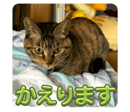 760168398