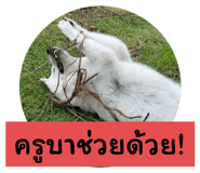 760187949