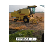 760196176