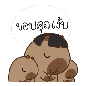 ลายที่ 13