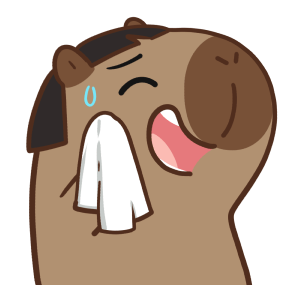 ลายที่ 15