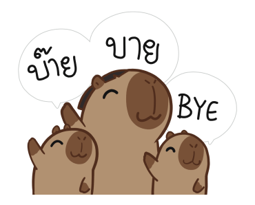 ลายที่ 47