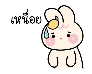 ลายที่ 47