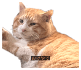 760211933