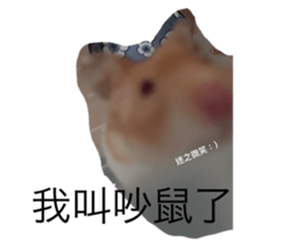 760217721