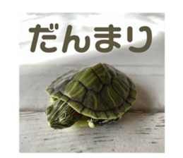 760222225