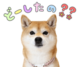 760279894