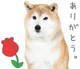 760280409